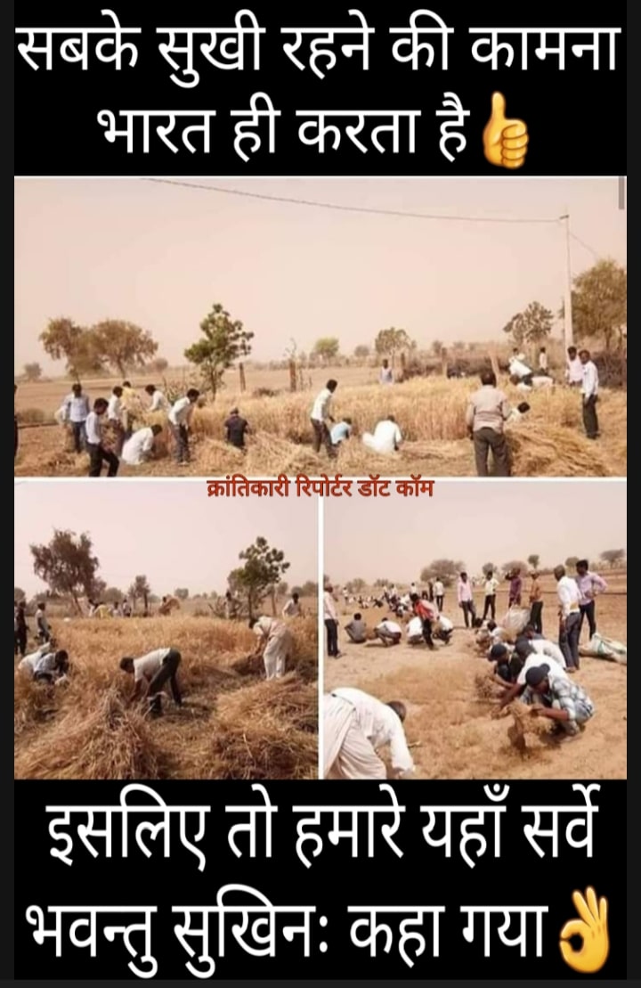 #जोधपुर में एक किसान के जवान बेटे की मौत हो गई... तो इस दुःख शामिल होने गए #लोगों ने 10 बीघा खेत में खड़ी फसल काट कर किसान की मद्दत की...!